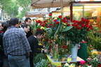 Sant Jordi 2008
