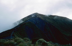 Milford Sound und Te Anau