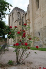 Avignon und Provence